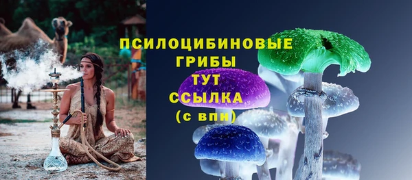 прущая мука Аркадак