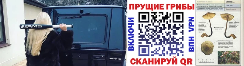 Галлюциногенные грибы Magic Shrooms  Павлово 